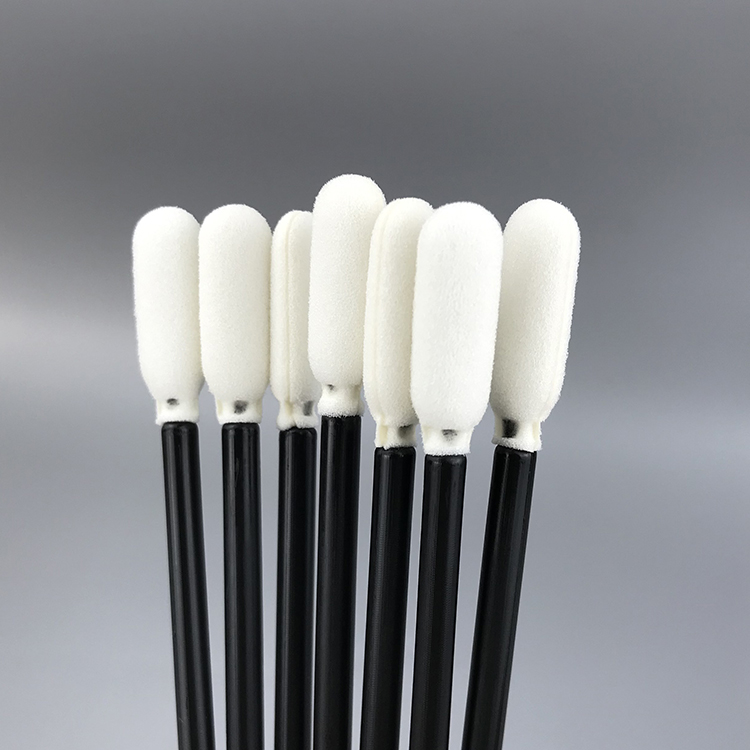 Spongia capite Purgato SwaB