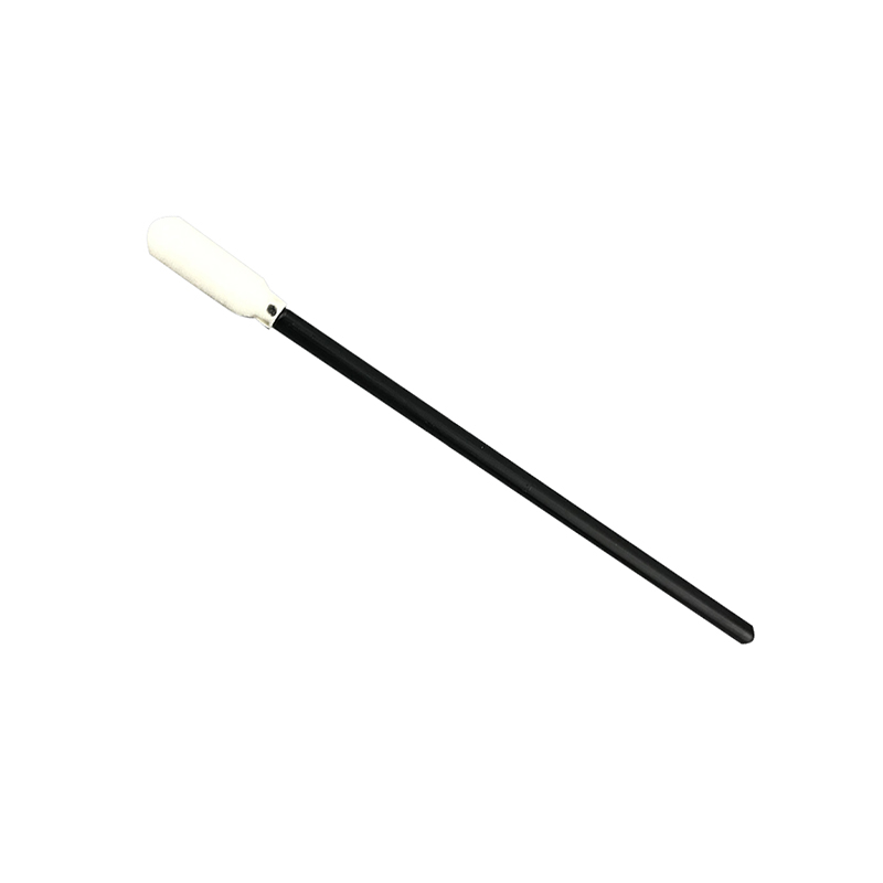 Spongia capite Purgato SwaB